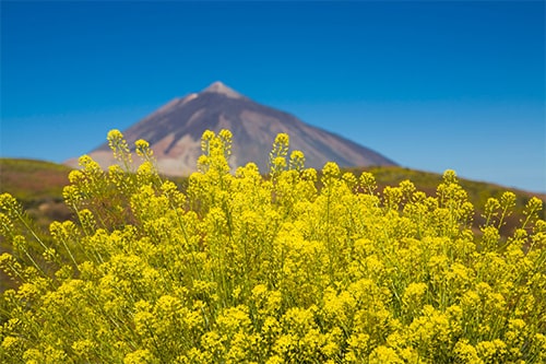 teide