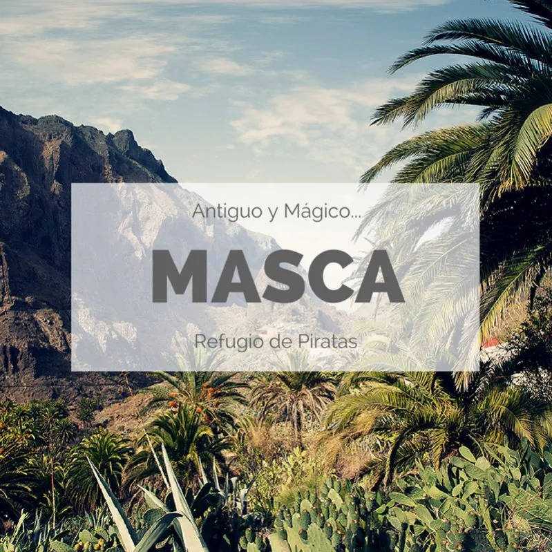 Masca en Tenerife: qué ver, barranco, reservas y acceso