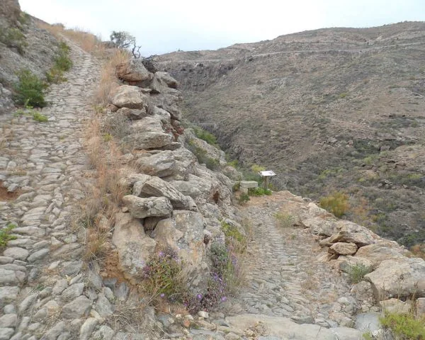 Camino Real de Arico en Tenerife