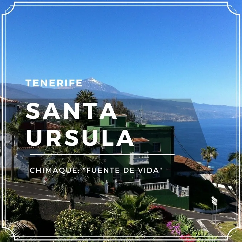 Santa Úrsula en Tenerife: miradores, costa y guachinches