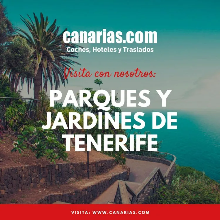 Parques y jardines de Tenerife: los más bonitos y cómo visitarlos
