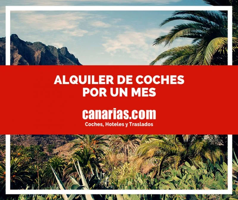 Alquiler de coches por un mes en Tenerife: cuándo compensa