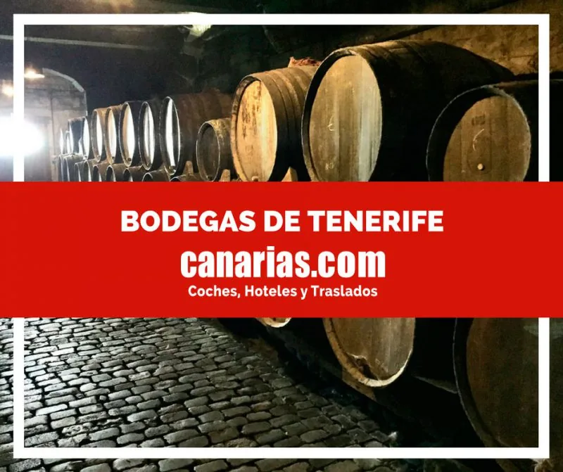 Bodegas de Tenerife: vinos volcánicos, rutas y consejos