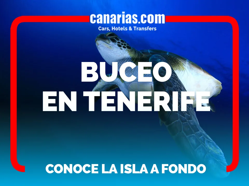 Buceo en Tenerife