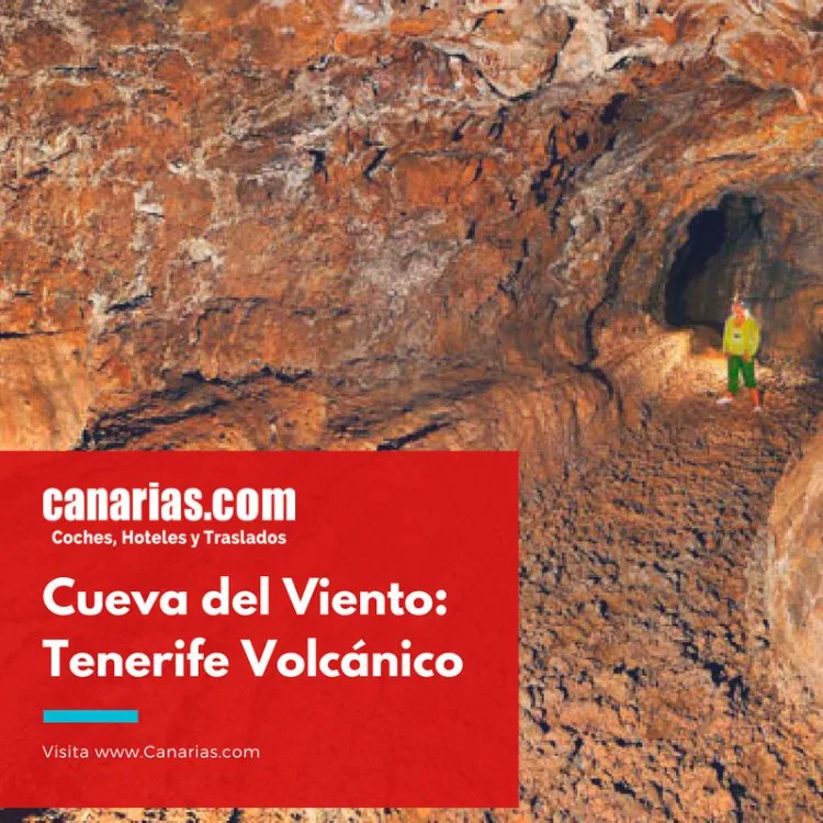 Cueva del Viento en Tenerife: entradas, visita y consejos