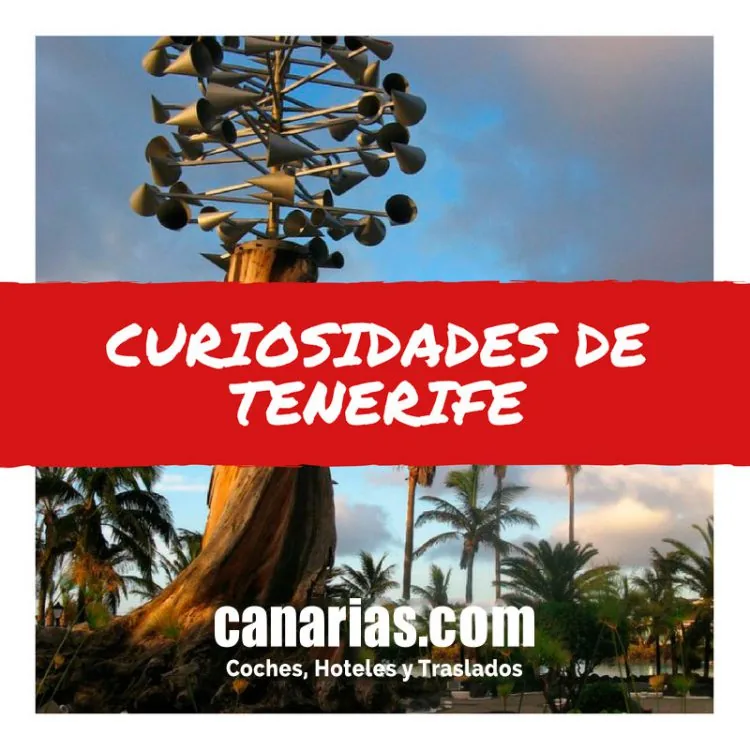 25 curiosidades de Tenerife que sí sirven para viajar