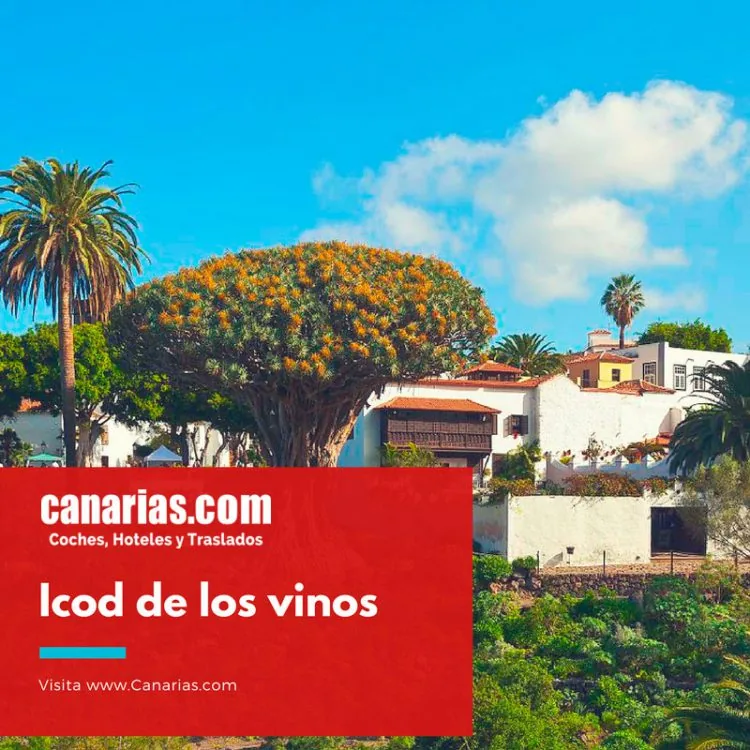 Icod de los Vinos: Drago Milenario, casco, cueva y ruta