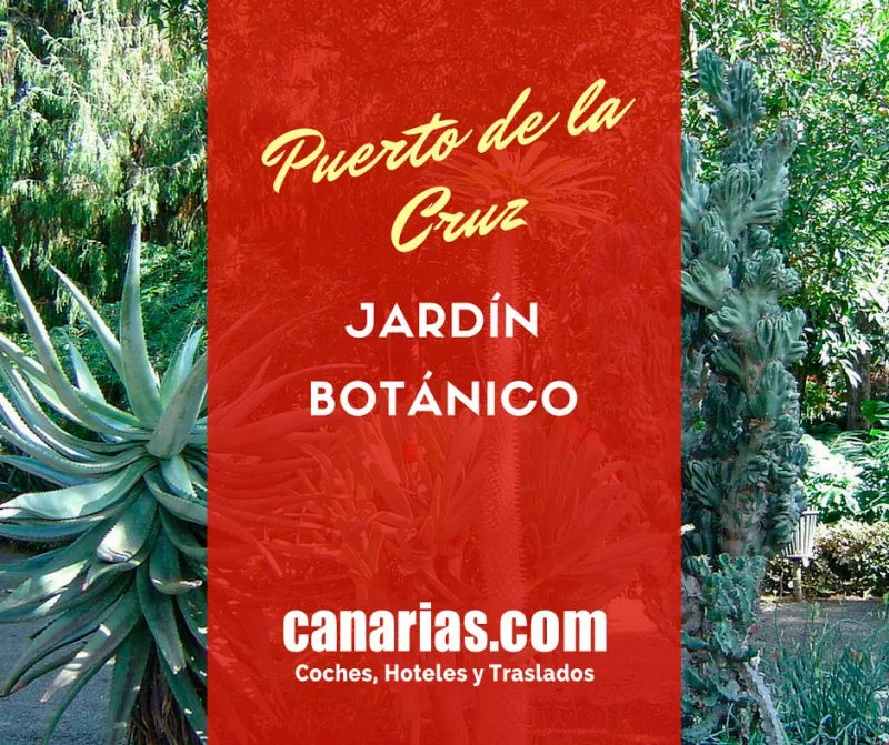 Jardín Botánico de Puerto de la Cruz: horario, precio y visita