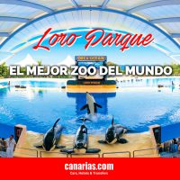 Loro Parque, Tenerife