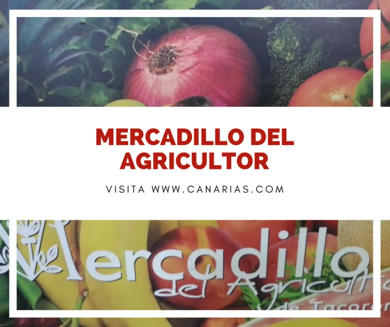 Mercadillo del Agricultor de Tacoronte: horarios, qué comprar y consejos