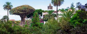 Municipios de Tenerife - Icod de Los Vinos
